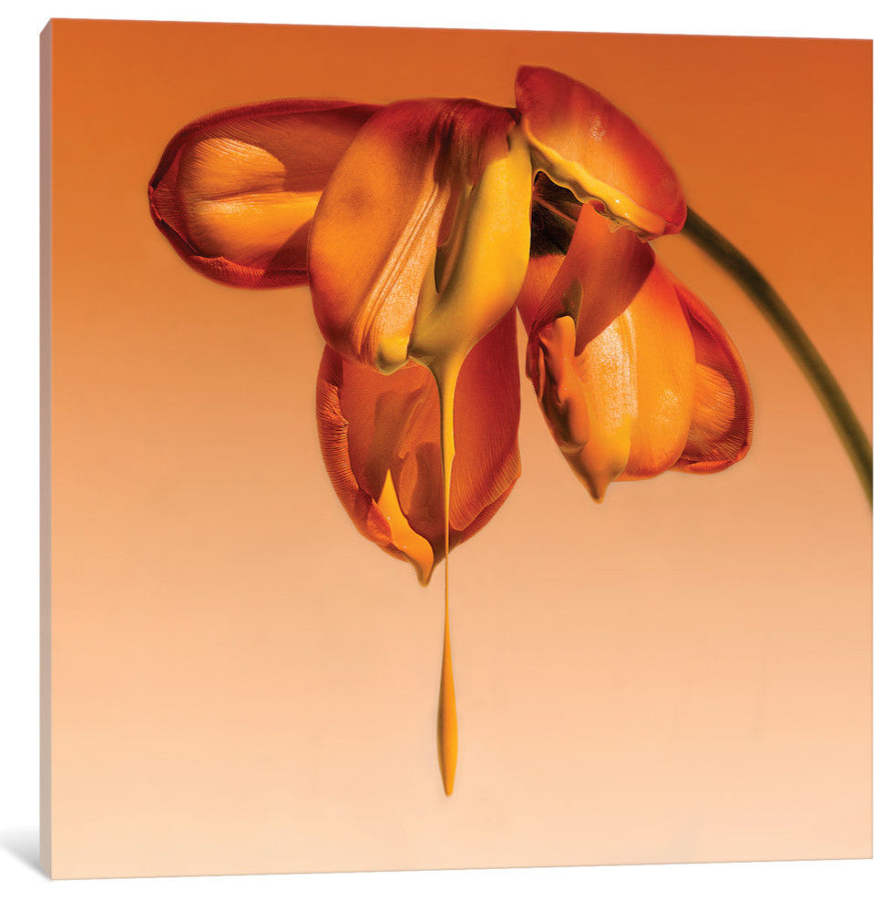 "Tears Of A Flower" by Kent Mathiesen, 18x18x1.5
