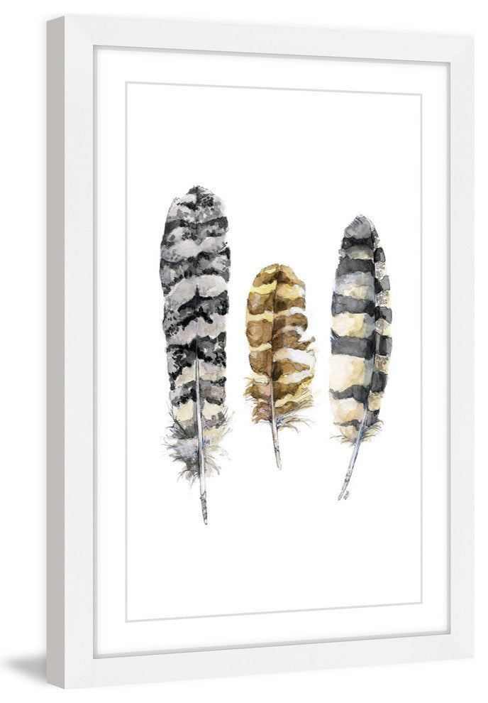 "Owl Feathers" Framed Print by Rachel Byler