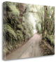 "Lost Coast Road" By Laura Culver, Giclee Print on Gallery Wrap Canvas
