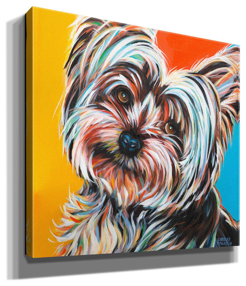 Sweet Yorkie II' by Carolee Vitaletti Giclee Canvas Wall Art, 12"x12"