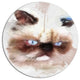 Angry Brown Watercolor Cat Sketch, Animal Disc Metal Artwork, 23"