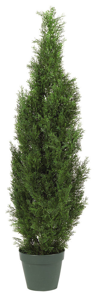 4' Cedar Tree Silk Tree, In Door and Out Door