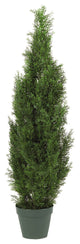 4' Cedar Tree Silk Tree, In Door and Out Door
