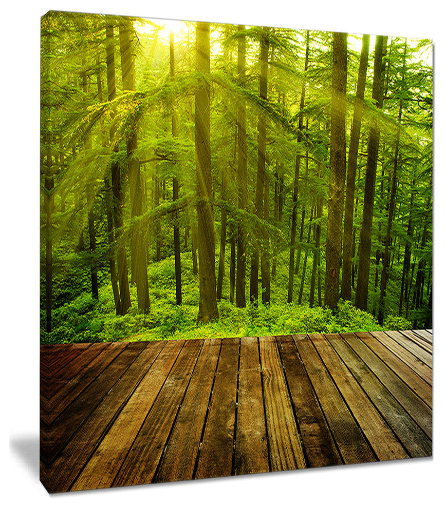 "Golden Sunlight in Pine Forest" Landscape Canvas Photo Print, 30"x40"