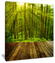 "Golden Sunlight in Pine Forest" Landscape Canvas Photo Print, 30"x40"