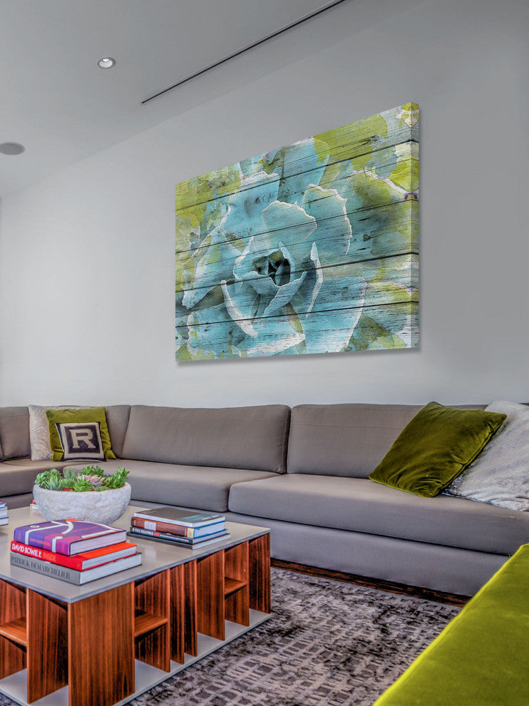 "Frosted Green Succulent" Painting Print on Canvas by Irena Orlov