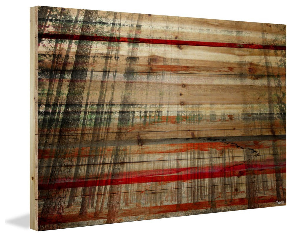 "Tall Tree Forest" Print on Natural Pine Wood, 60"x40"
