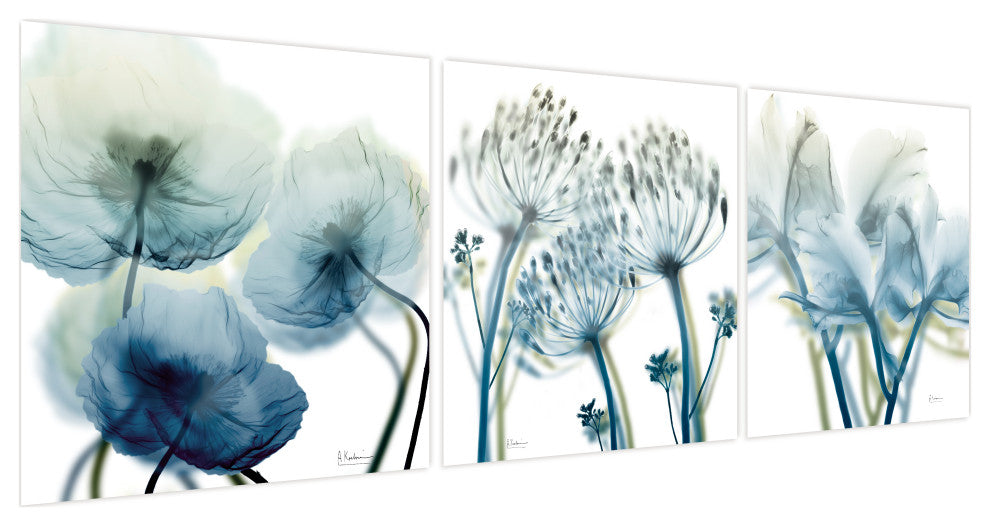 "Unfocused Beauty" Frameless Free Floating Panel Graphic Wall Art, 24"x24"