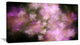 Perfect Pink Starry Sky, Abstract Canvas Art Print, 40x20