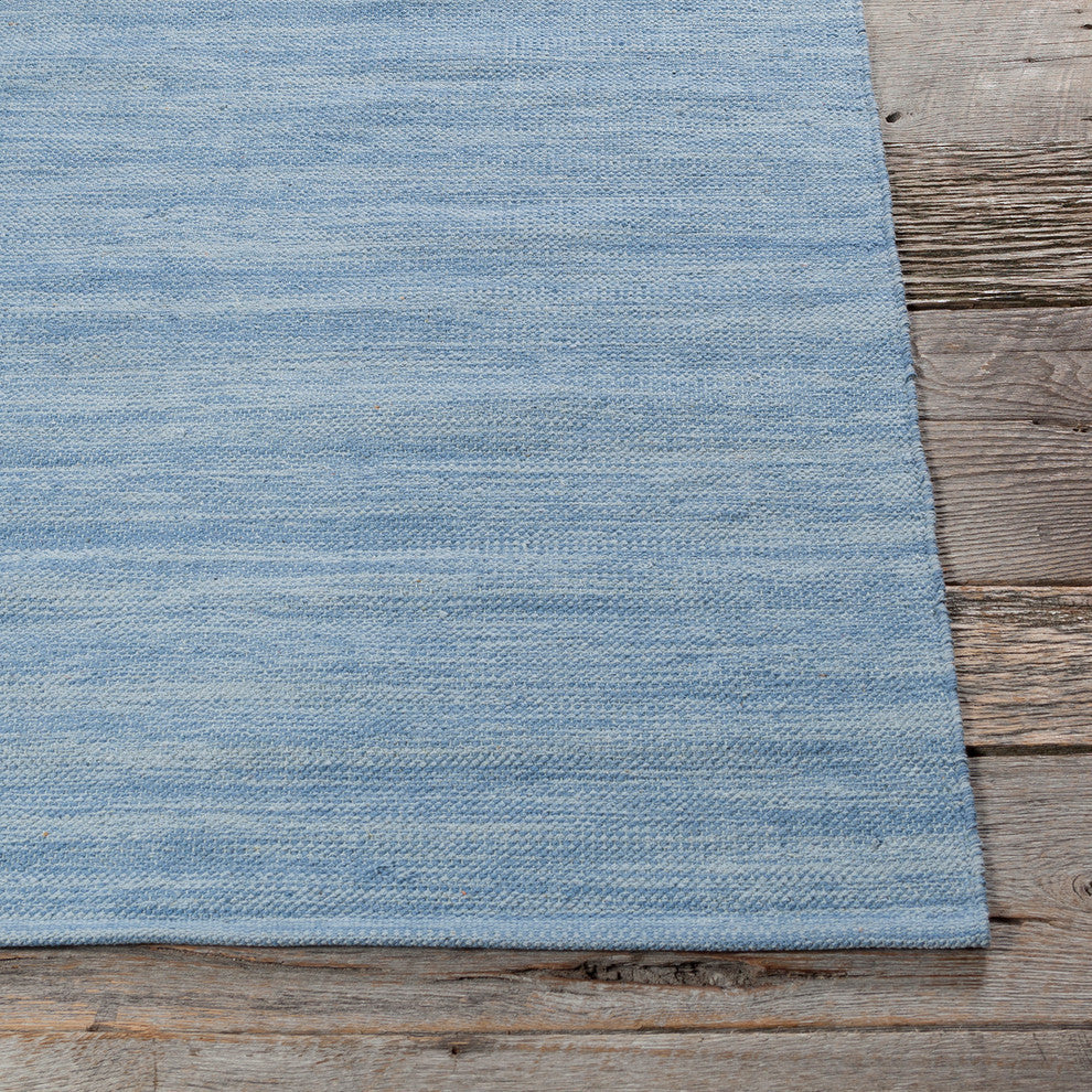 India Contemporary Area Rug, Blue, 2'x3' Rectangle
