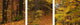 "Fall Road Emery Park NY" Canvas Art, 36"x12"x1.25"