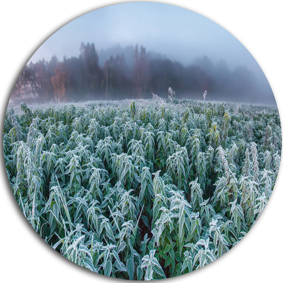 Frozen Hemp Field In Autumn Morning, Landscape Round Metal Artwork, 23"