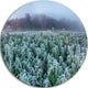 Frozen Hemp Field In Autumn Morning, Landscape Round Metal Artwork, 23"