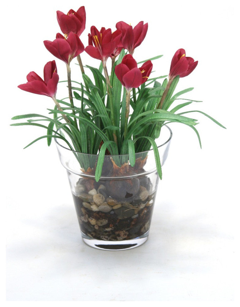 Waterlook® Mauve Crocus in Glass Flower Pot