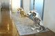 Imposing Cat, Silver