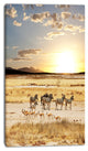 Zebras and Antelopes in Africa, African Landscape Canvas Art, 16"x32"