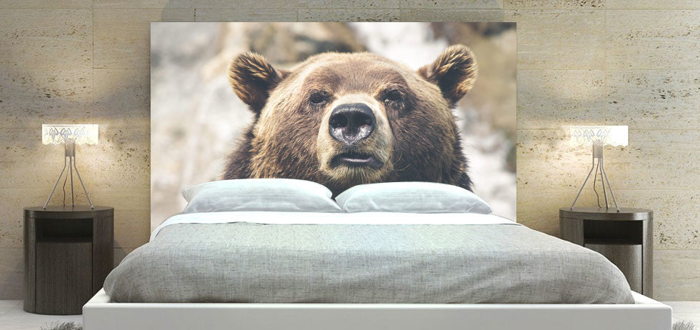 "Bear" Headboard