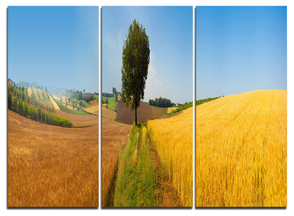 "Tuscany Wheat Field Hill Panorama" Metal Wall Art, 3 Panels, 36"x28"