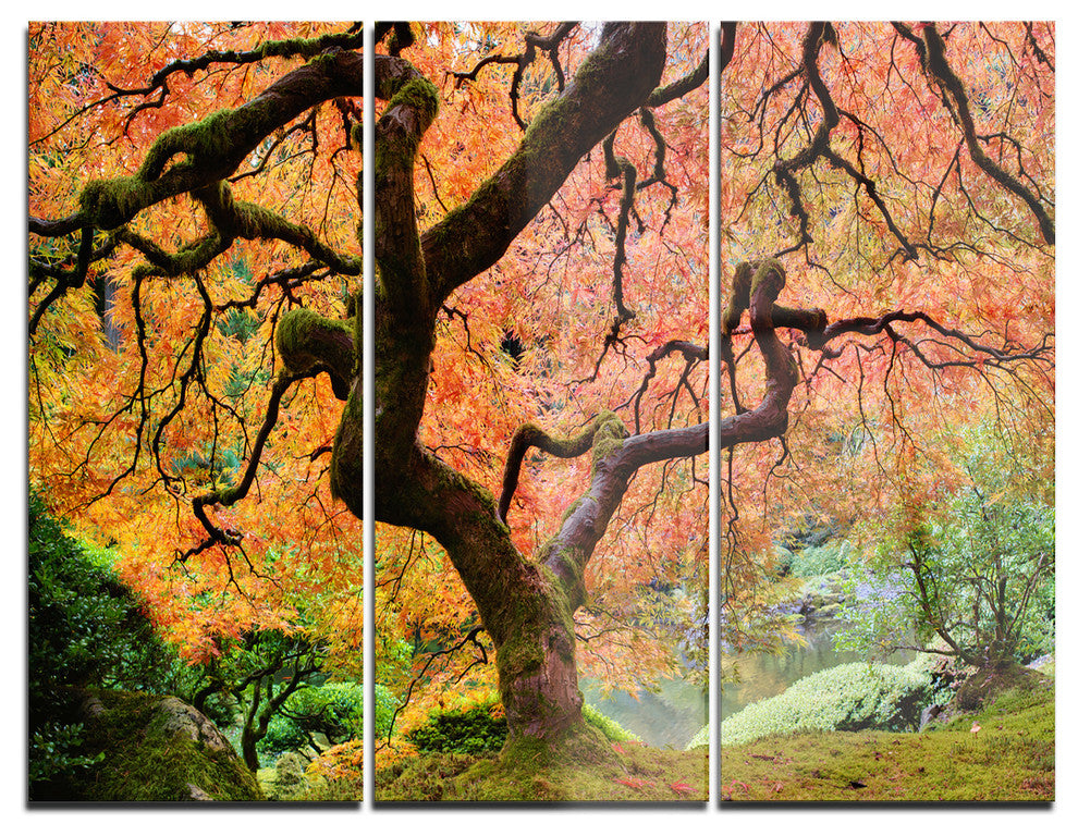 "Autumn Maple Tree" Photography Metal Wall Art, 3 Panels, 36"x28"