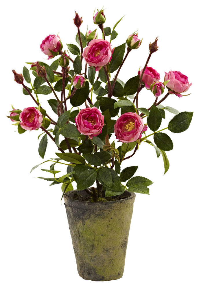 French Rose Garden