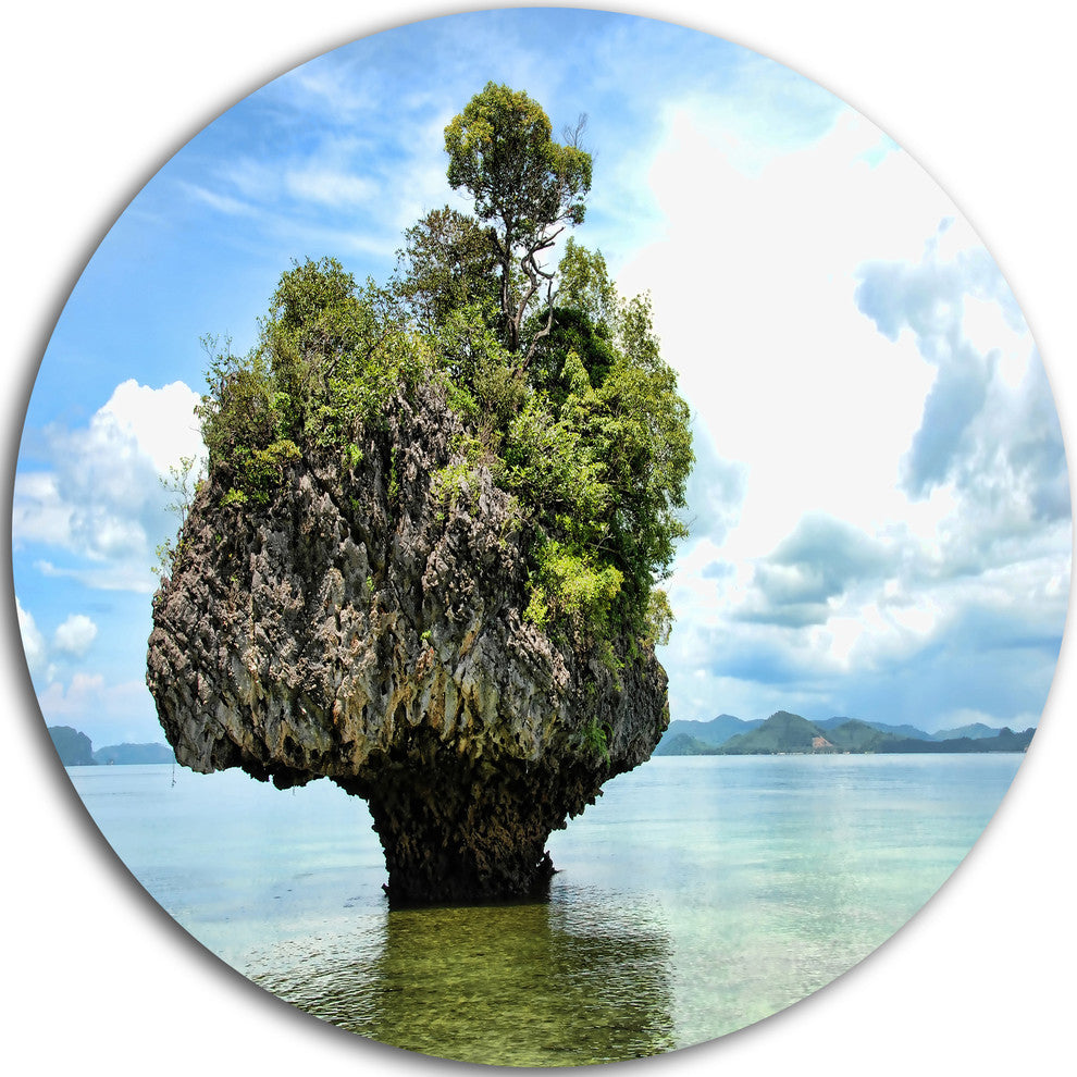 Tree Island In Summer, Landscape Photography Round Metal Wall Art, 36"