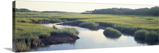 "Salt Marsh Cape Cod MA" Canvas Art, 60"x20"x1.25"