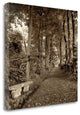 "Fiesole Giardini - 2" By Alan Blaustein, Giclee Print on Gallery Wrap Canvas