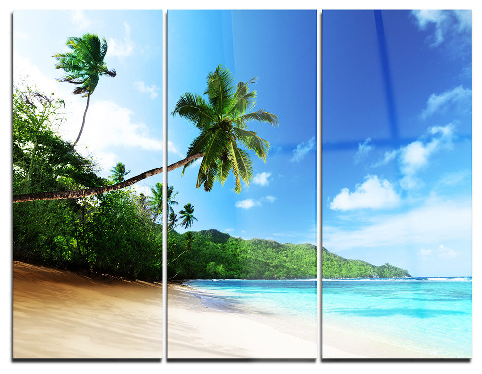 "Sunset Beach With Palm" Photography Metal Wall Art, 3 Panels, 36"x28"