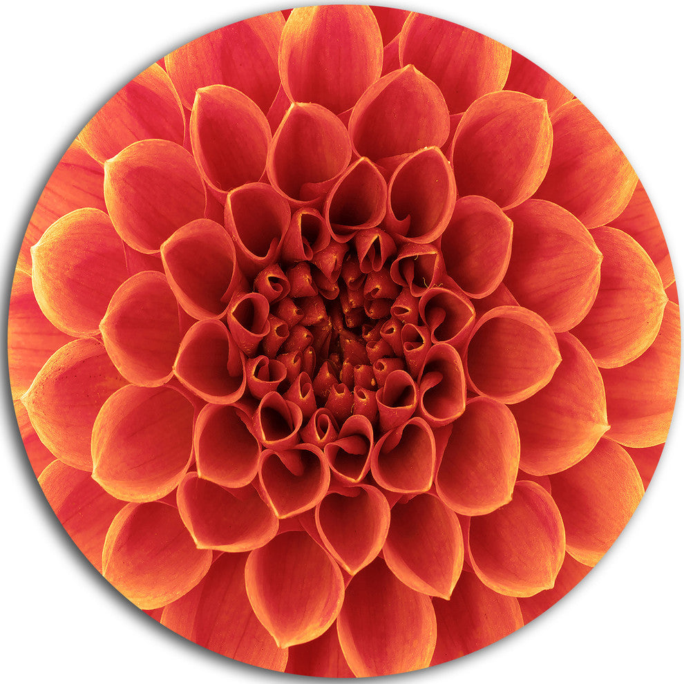 Brown Flower With Dense Petals, Floral Photo Disc Metal Wall Art, 11"