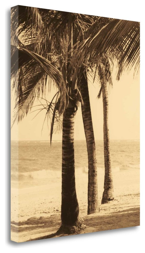 "Palm Beach II" By Dennis Kelly, Giclee Print on Gallery Wrap Canvas