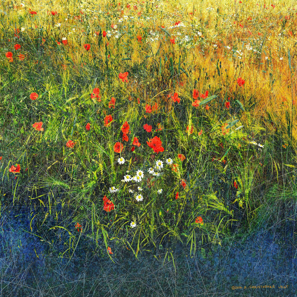 "Barley and Poppies B" Painting Print on Canvas by Chris Vest