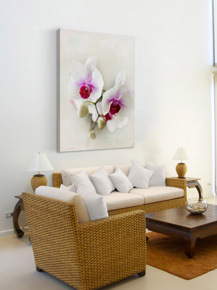 Marmont Hill, "Orchids" by Sylvia Cook Painting Print on Wrapped Canvas, 12x18