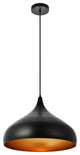 Light 1 Pendant in Black
