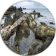 Rocky North Ireland Seashore, Seascape Disc Metal Wall Art, 36"