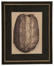 Black Matted Turtle Shell, Black Frame With Copper Bead
