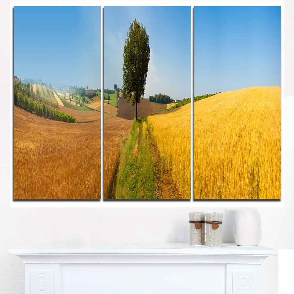 "Tuscany Wheat Field Hill Panorama" Metal Wall Art, 3 Panels, 36"x28"