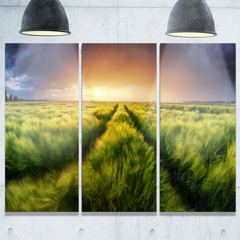 "Storm and Light on Meadow" Metal Wall Art, 3 Panels, 36"x28"