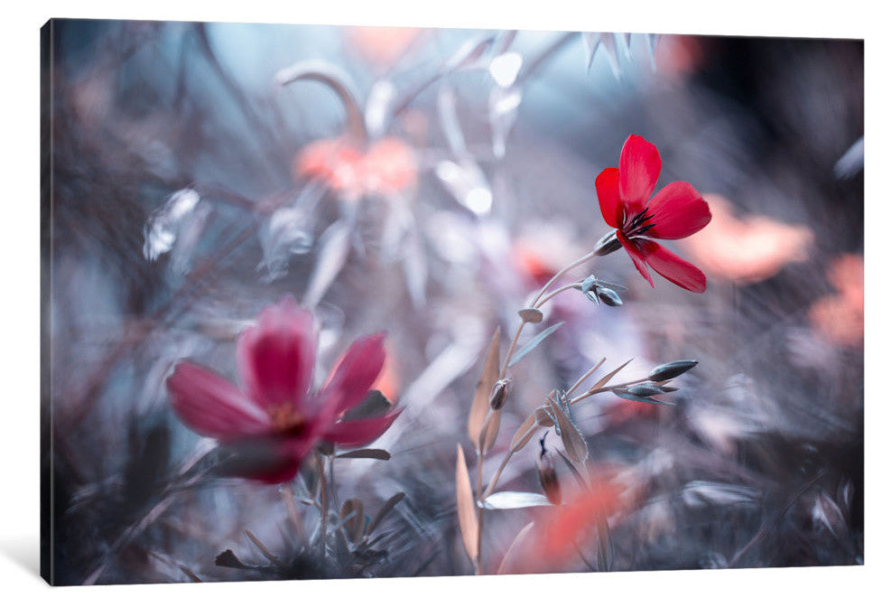 "Une Fleur Une Histoire" by Fabien Bravin, 40x26x1.5