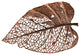 Birch Leaf Wall Art, Copper, Small