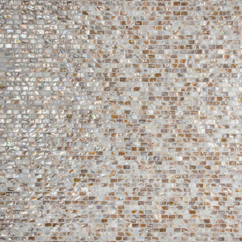 Conchella Subway Natural Natural Shell Wall Tile