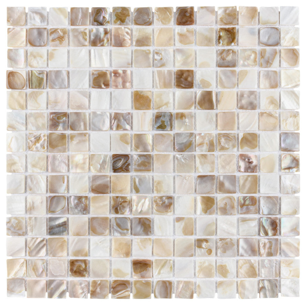 Conchella Square Natural Natural Shell Wall Tile