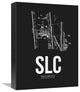 "Salt Lake City Airport Black" Fine Art Print