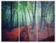 "Beautiful Green Autumn Forest" Photo Metal Wall Art, 3 Panels, 36"x28"