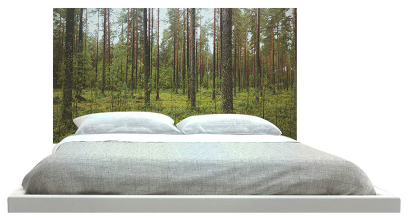 "Thin Tree Forest" Headboard