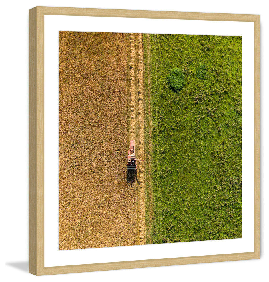 "Plowing" Framed Print by Karolis Janulis