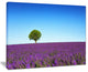 "Green Tree Among Lavender Flowers" Landscape Wall Art Print, 40"x30"
