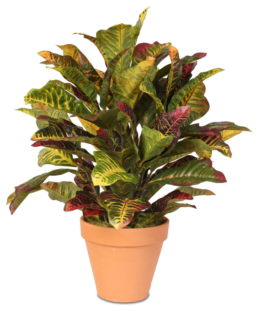 Multi Colored Real Touch Croton Plant in Clay Pot
