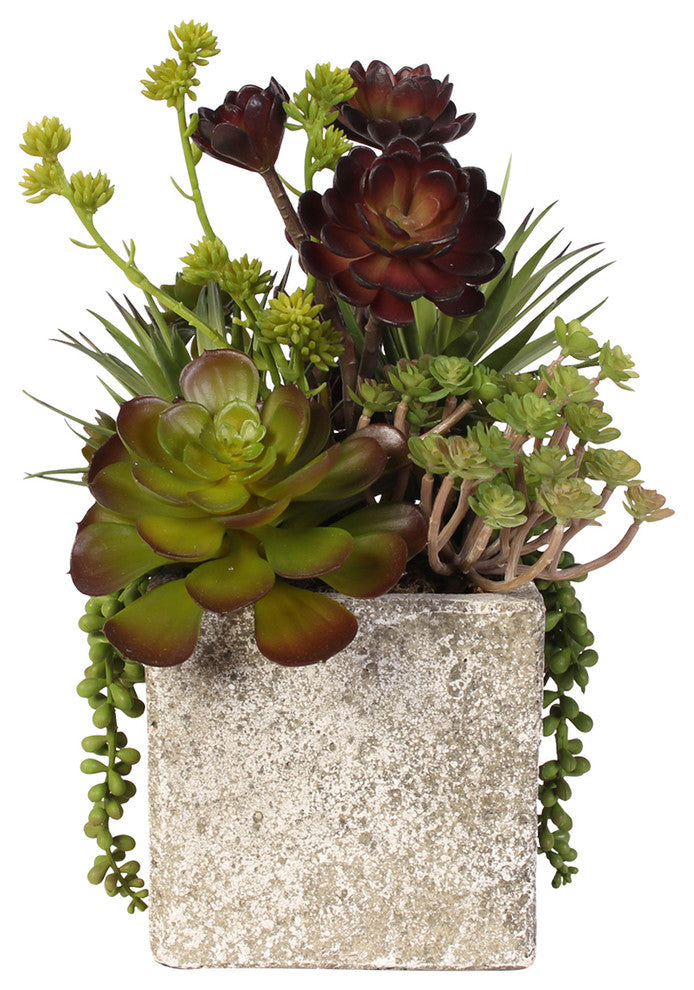 Succulent, Hen and Chicks Coastal Cottage Arrangement in Stone Pot