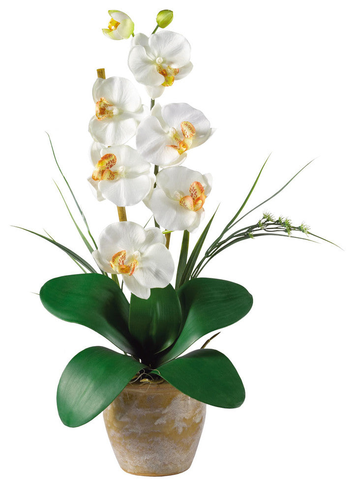 Single Stem Phalaenopsis Silk Orchid Arrangement, Cream
