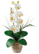 Single Stem Phalaenopsis Silk Orchid Arrangement, Cream